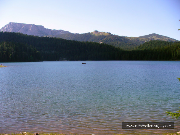photo 462295