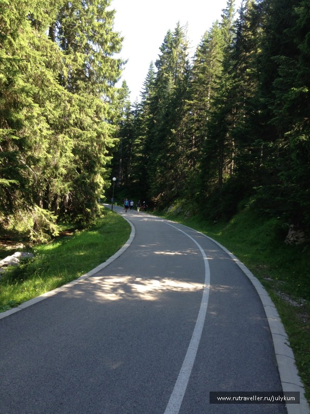photo 462298
