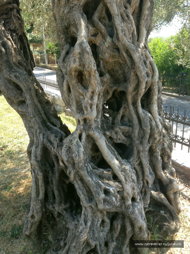 photo 462313