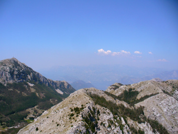 photo 462452