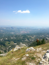 photo 462456