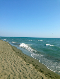 photo 462523