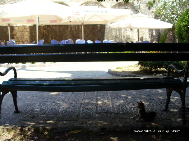 photo 462616