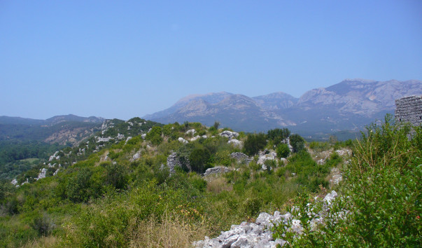 P1110845