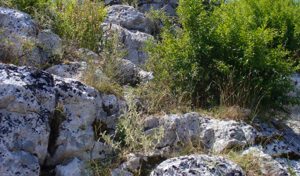 P1110832