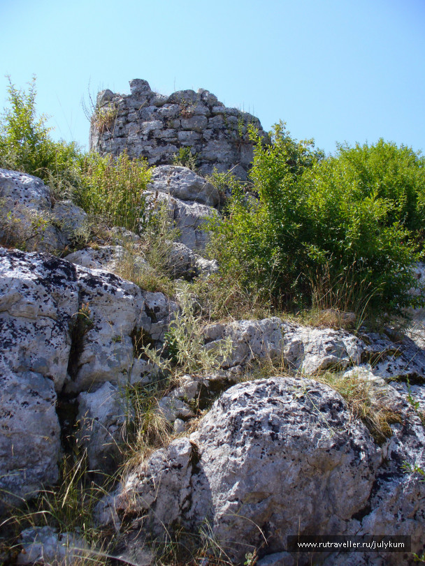 photo 462958