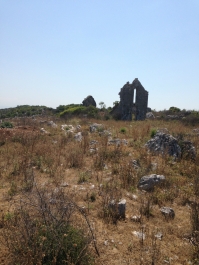 photo 462965