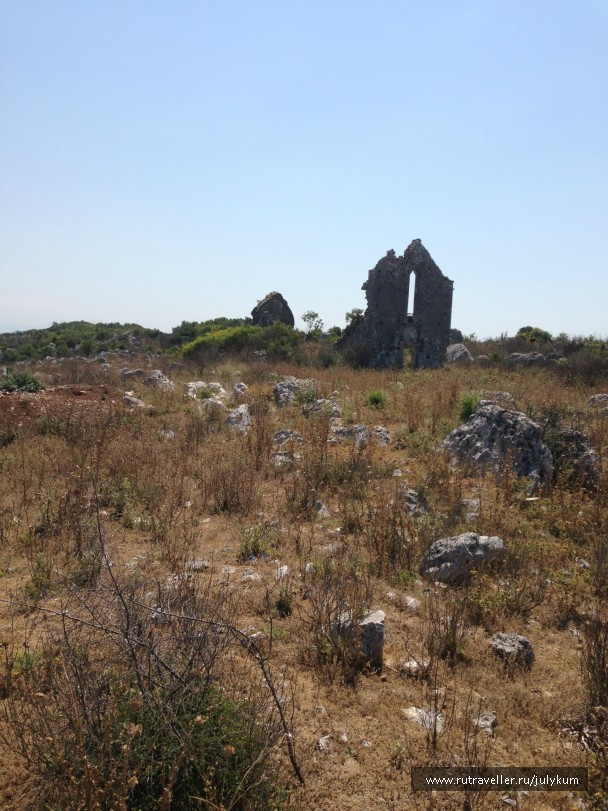 photo 462965