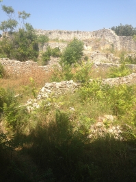 photo 462963