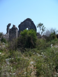 photo 462961
