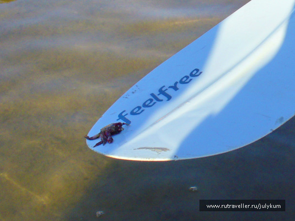 photo 673561