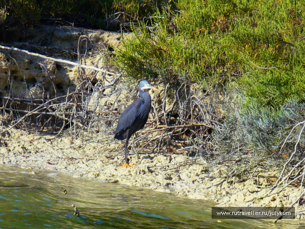 photo 673565