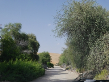 photo 924274