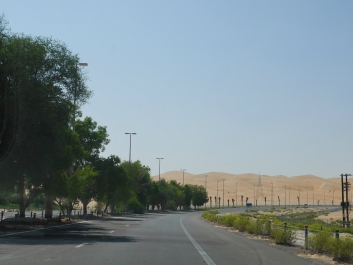 photo 924276