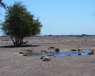 photo 696509