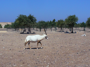 photo 696512