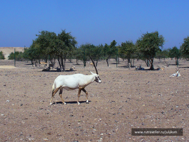 photo 696512