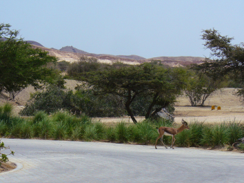 photo 696525
