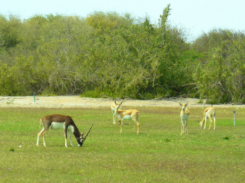photo 696529