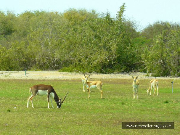 photo 696529