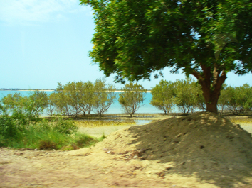 photo 696530