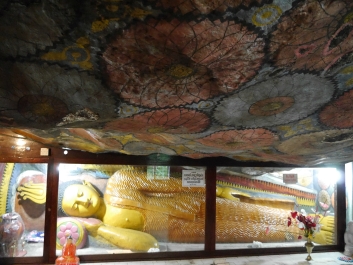 photo 854827