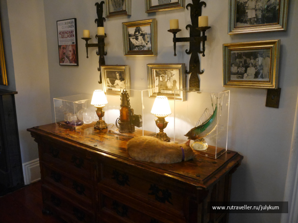 photo 1228786