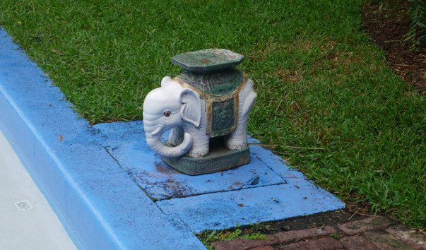 P1160024