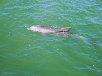 photo 1228854