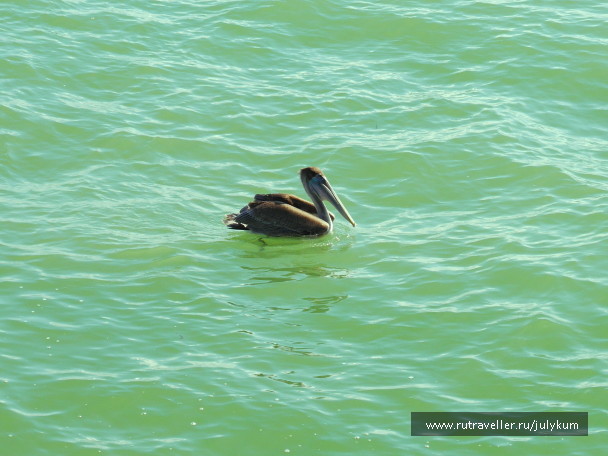 photo 1228858