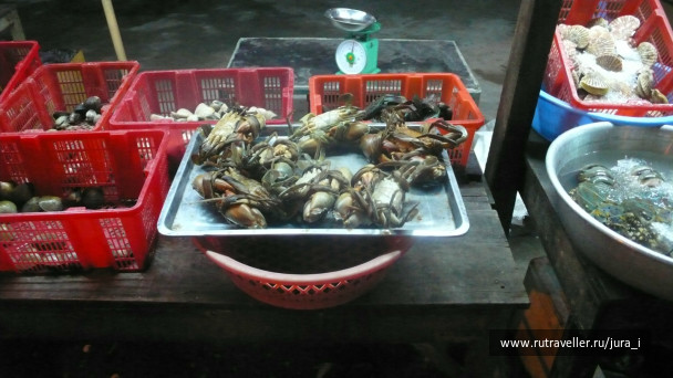 photo 42561
