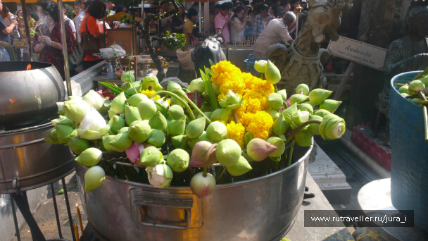 photo 42418