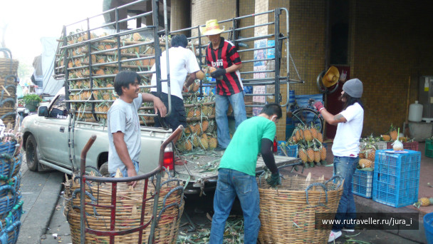 photo 42422