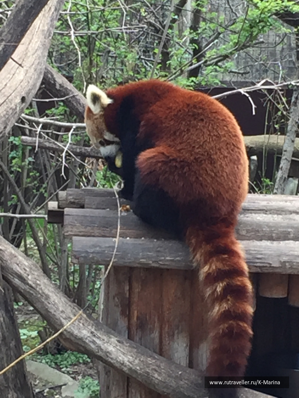 photo 1462739