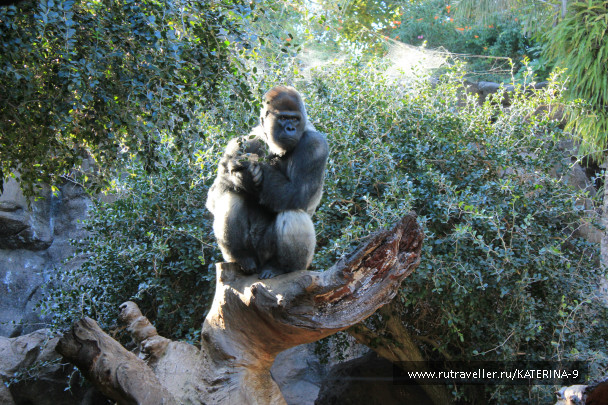 photo 76951