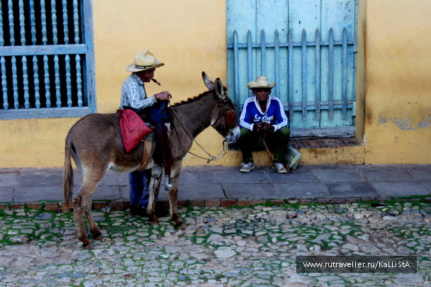 photo 164394