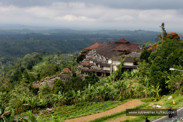 photo 164514