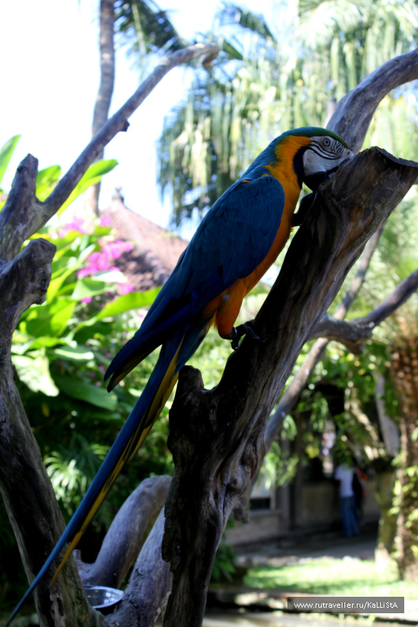 photo 164533