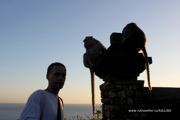 photo 164543