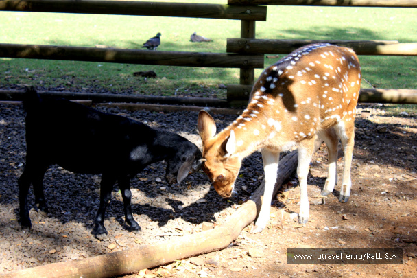 photo 165093