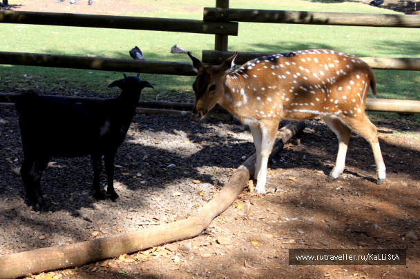 photo 165094