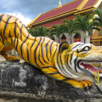Tiger Cave Temple_Krabi_Thailand_2017