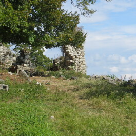 photo 1475094