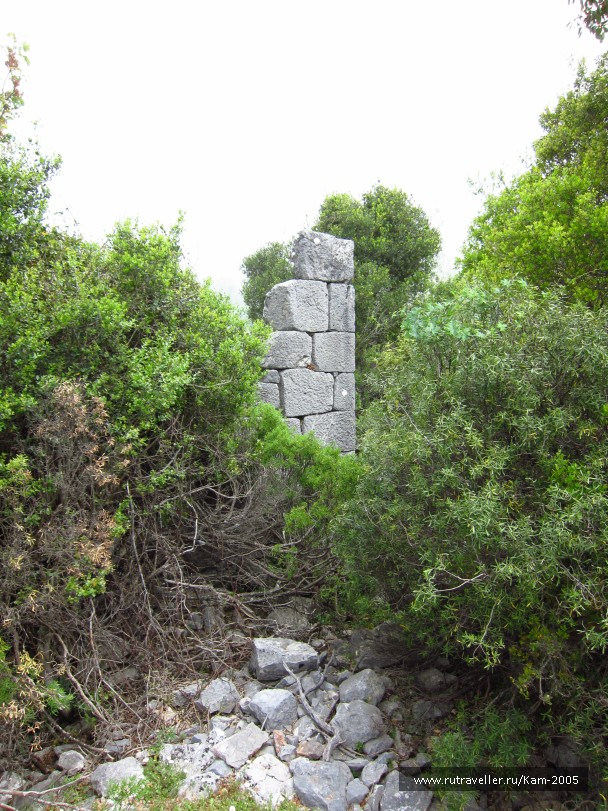 photo 734970