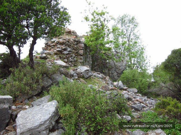 photo 734976
