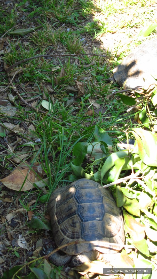 photo 765164