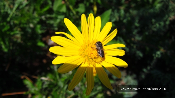 photo 765167
