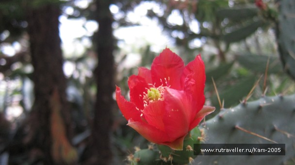 photo 765203