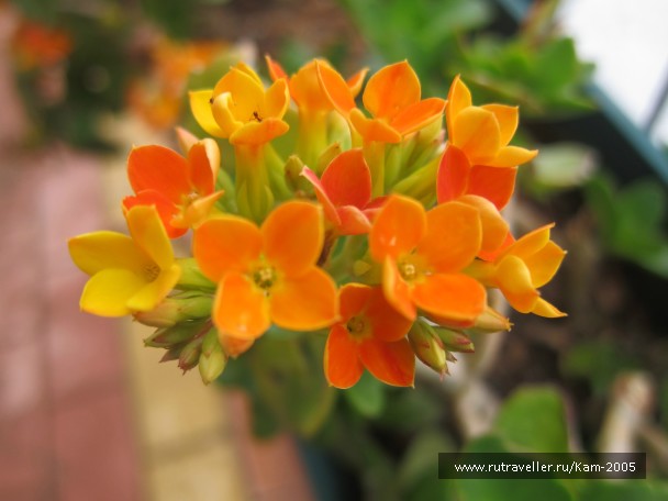photo 765214