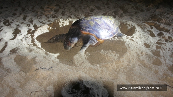 photo 765227